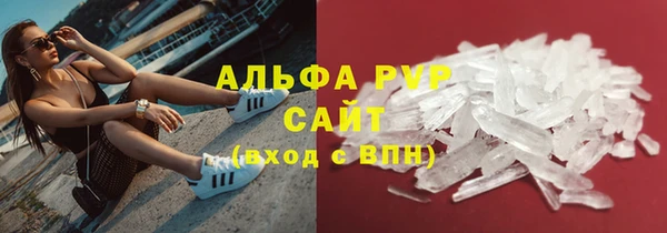 сатива Надым