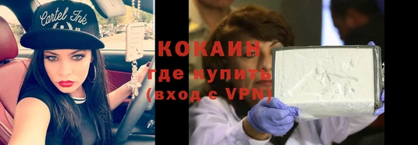 сатива Надым