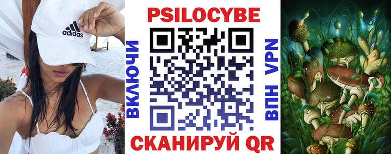 ОМГ ОМГ как зайти  цена наркотик  Сорочинск  Псилоцибиновые грибы Cubensis 