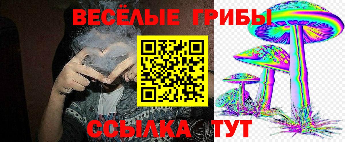 Галлюциногенные грибы GOLDEN TEACHER Сорочинск