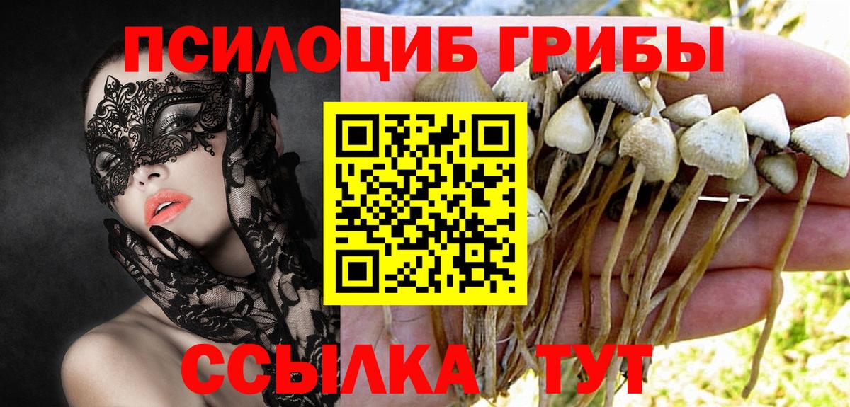 Псилоцибиновые грибы GOLDEN TEACHER Сорочинск